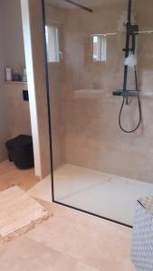 a shower with a glass door in a bathroom at La Bergeronnette in Doudelainville +5 photos