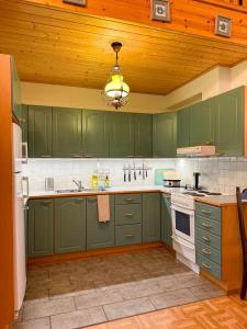 cocina con armarios verdes y techo de madera en Northern Lights Lakehouse, en Rovaniemi