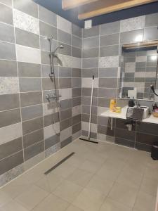 une salle de bain avec douche et lavabo dans l'établissement Les gîtes de L'hermine, à Plouigneau