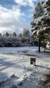 a snow covered field with a tree and a road at Morada entre Valles in San Carlos de Bariloche +5 photos