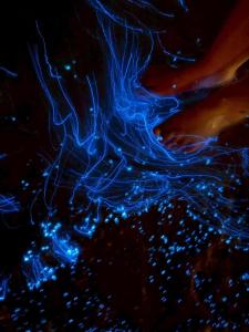 Imagen de la galería de Horn Seaside Homestay, en Nangan