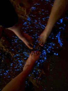 Imagen de la galería de Horn Seaside Homestay, en Nangan