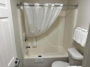 a white bathroom with a toilet and a shower curtain at Stay Lodge of Decatur in Decatur