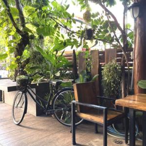 Una bicicleta estacionada junto a un banco y algunas plantas. en Nature Home Hostel & Cafe, en Chiang Mai