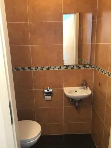 a bathroom with a toilet and a sink at Bright, Modernized Apartment at Belval University in Esch-sur-Alzette