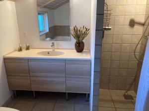 un bagno con lavandino e doccia di LN1816-Hjorring-Rodspaettevej-14 a Hjørring Altre 16 foto