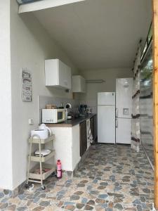 a kitchen with a counter and a refrigerator at Vara la Corbu in Corbu