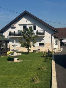 ein Haus mit einer Palme und einem Brunnen im Hof in der Unterkunft Gorgeous cottage home in Novi Marof
