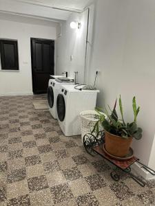 eine Waschküche mit Waschmaschine und Pflanzen in der Unterkunft Gorgeous cottage home in Novi Marof
