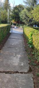 Gallery image of Apartman Mali Raj Rudnik II in Rudnik Kačerski