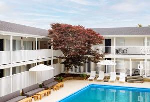 a hotel with a pool and chairs and a tree at Parker Beach Lodge in South Yarmouth