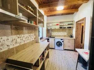 a kitchen with a washer and dryer in a room at Villa Sylvia in Vrbov