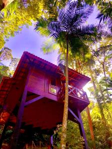 a tree house in the middle of a palm tree at Refúgio eco Lodge in Nova Friburgo