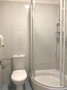 a bathroom with a toilet and a shower at Sejong Guest house - 세종게스트하우스 in Trnava