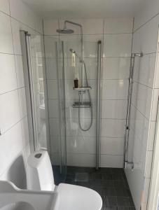a bathroom with a shower and a toilet and a sink at Mountain Cabin with Ski-in Access in Björnrike  +4 photos