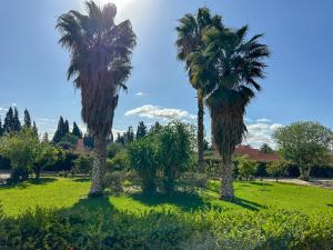 Dos palmeras en un parque con un campo de césped. en Appartement lumineux avec Jardin à la palmeraie, en Marrakech