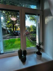 Κήπος έξω από το Urban Wolfie with FREE parking & own bicycle +22 φωτογραφίες