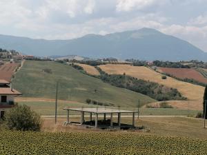 Billede fra billedgalleriet på Ristorante Antonio e Davide i Bellante + 1 billede