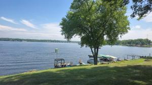 a tree sitting on the side of a lake at Milton's Cottage in Lake Milton