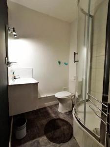 a bathroom with a toilet and a sink and a shower at Le Renardeau in Brison-Saint-Innocent