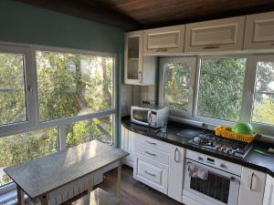 アルマトイにあるMountain house on the Kamensky Plateauの白いキャビネット、テーブル、窓付きのキッチン +43枚の写真