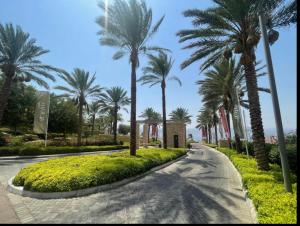 a street with palm trees and a road at قرية الراحة باطلالة بحرية-مرسى زايد-Alraha village -marsa zayed- with sea view in Aqaba