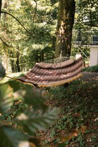 a hammock hanging from a tree in a forest at Waldresidenz Deluxe in Perg