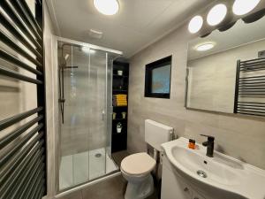 a bathroom with a shower and a toilet and a sink at Gezellig chalet met 2 slaapkamers aan bosrand in Erm +19 photos