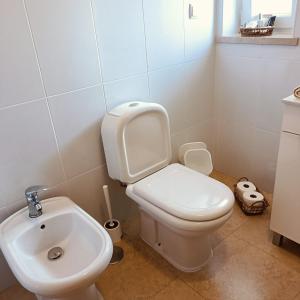 a bathroom with a toilet and a sink at AO - Tina House Ferrel in Ferrel
