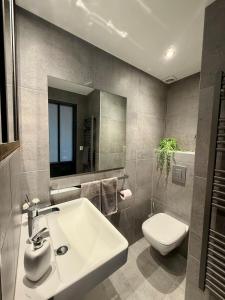 a bathroom with a sink and a toilet at Le Fournil du Couvent in Les Rousses +20 photos