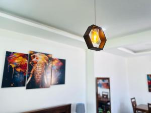 a light hanging from a ceiling with paintings of an elephant at Happy Haven Homestay in Anuradhapura
