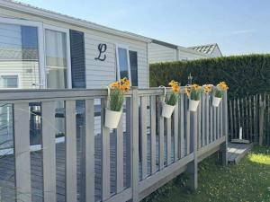 a fence with several potted plants on it at Claire's Cottage in Knokke-Heist +10 photos