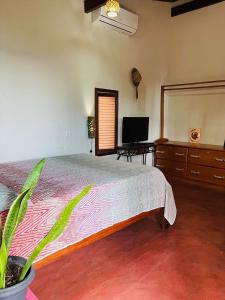Televisyen dan/atau pusat hiburan di Quartos no Caribe Amazônico com vistas para a Praia do Amor