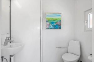 a bathroom with a white toilet and a sink at SJ296-Hejls-Ae-Skovbryn-37 in Hejls +13 photos
