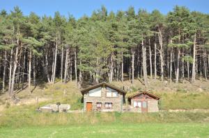 马萨纳Borda Cucut-HUT4-08181的位于树木繁茂的田野中央的房子