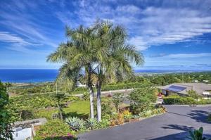an aerial view of a palm tree and the ocean at Tranquility Guest House in Kailua-Kona