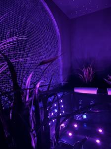 a room with purple lights and plants in it at Au cocon des Corbière - La bohème in Lézignan-Corbières