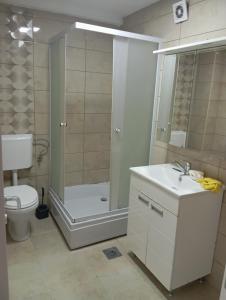 a bathroom with a shower and a toilet and a sink at Ramstore in Kumanovo