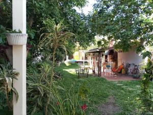a yard with chairs and tables and a house at Tiny-house in Concordia