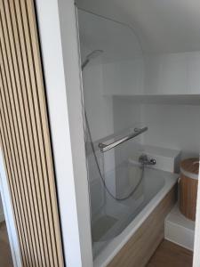 a shower with a glass door in a bathroom at Appartement au pied de la forteresse in Châtel-sur-Moselle