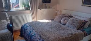 ein Schlafzimmer mit einem Bett und einem Fenster in der Unterkunft Apartment Baci for 4 guests in Ljubljana + 22 Fotos