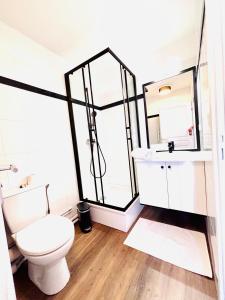 a bathroom with a toilet and a sink and a mirror at 32 m2 appartement idéal famille avec parking privé in Berck-sur-Mer
