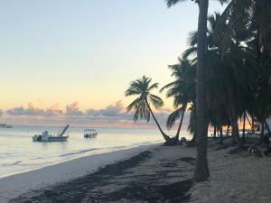 Peisaj natural din apropierea acestui apartament