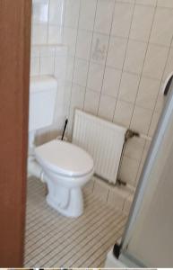 a bathroom with a white toilet in a room at Golden Rangau Hotel & Pension in Langenzenn