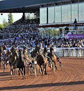 a group of horses running on a race track at Charmante petite maison de ville à 20 minutes de la mer in Giberville