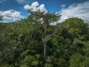 Gallery image of Mountain View in Santa Elena