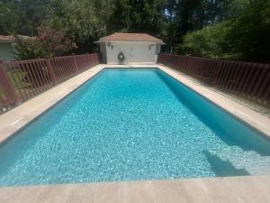 a swimming pool with blue water in a backyard at Mid City ranch! Huge backyard/Private pool! in Baton Rouge
