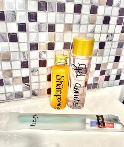 eine Zahnbürste und eine Flasche Zahnpasta auf einem Waschbecken in der Unterkunft Évasion Marine- plage à 5 minutes a pied in Le Portel