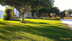A garden outside Masseria Vignenove