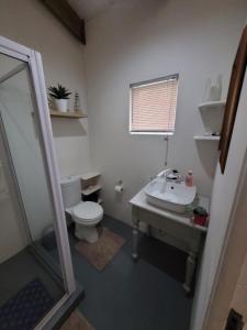 un baño con inodoro y lavabo en Sunset View Self- Catering Yzerfontein, en Yzerfontein